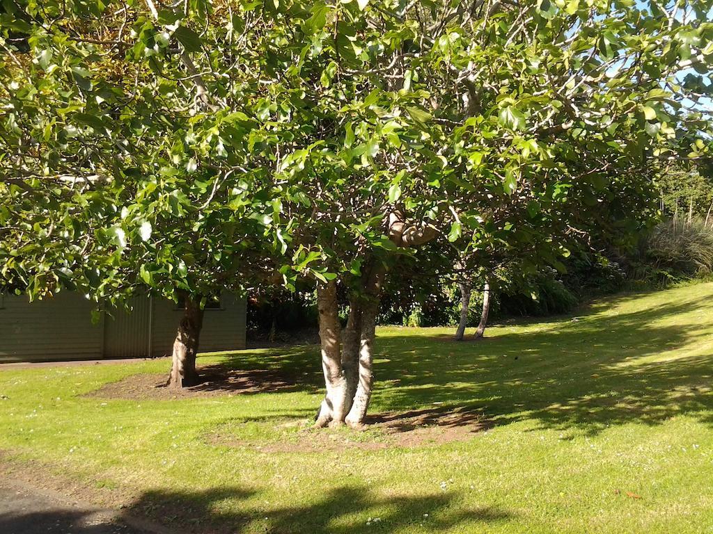 Hikurangi Stayplace Whanganui Exterior foto